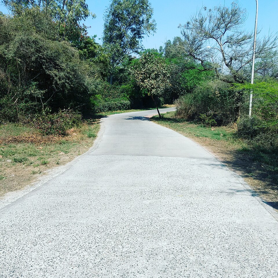 はじめの一歩を踏み出す道