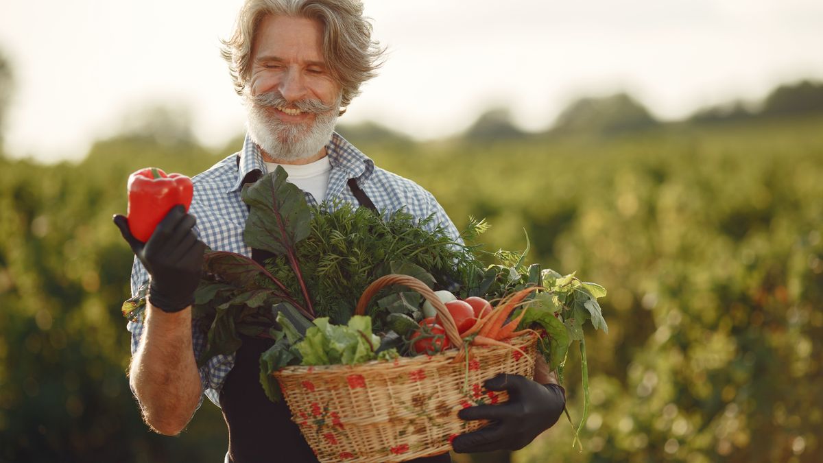 収穫した野菜のかごを持つ笑顔の男性